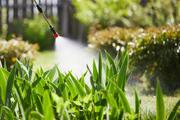24/7 Emergency Mosquito Control experts in Dulce, NM